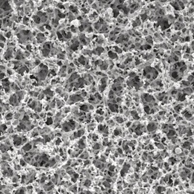 Filtres à membrane MF-Millipore Ester mixte de cellulose 8,0 µm, 47 mm, sans grille, 100 Pièce(s)