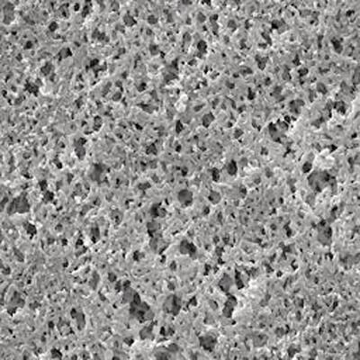 Membrane filters Nylon, 0,45 µm, , 47 mm, 100 Piece(s)