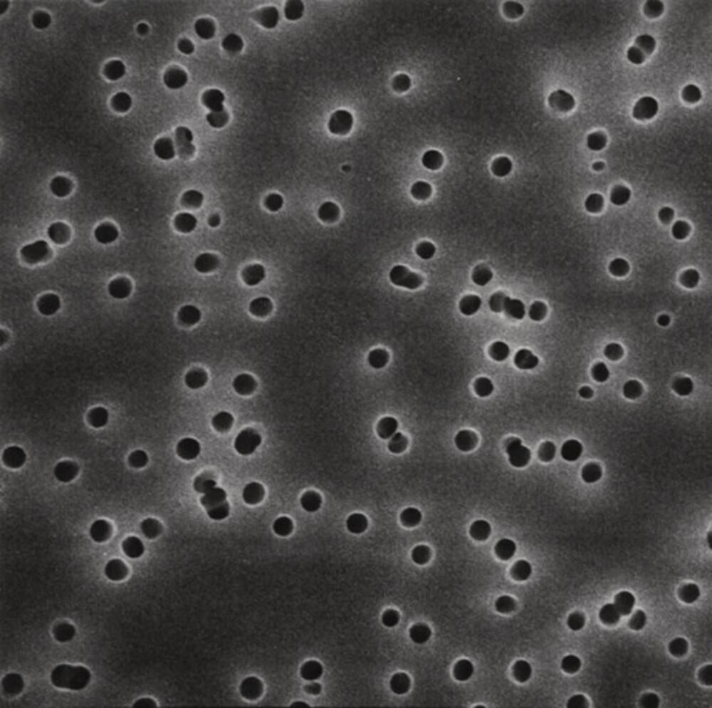 Filtri a membrana Isopore Policarbonato, 0,40 µm, , 25 mm, bianco, 100 Pezzo(i)