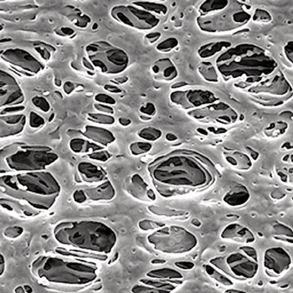 Filtres à membrane Express® PLUS PES, 0,22 µm, , 13 mm, 100 Pièce(s)