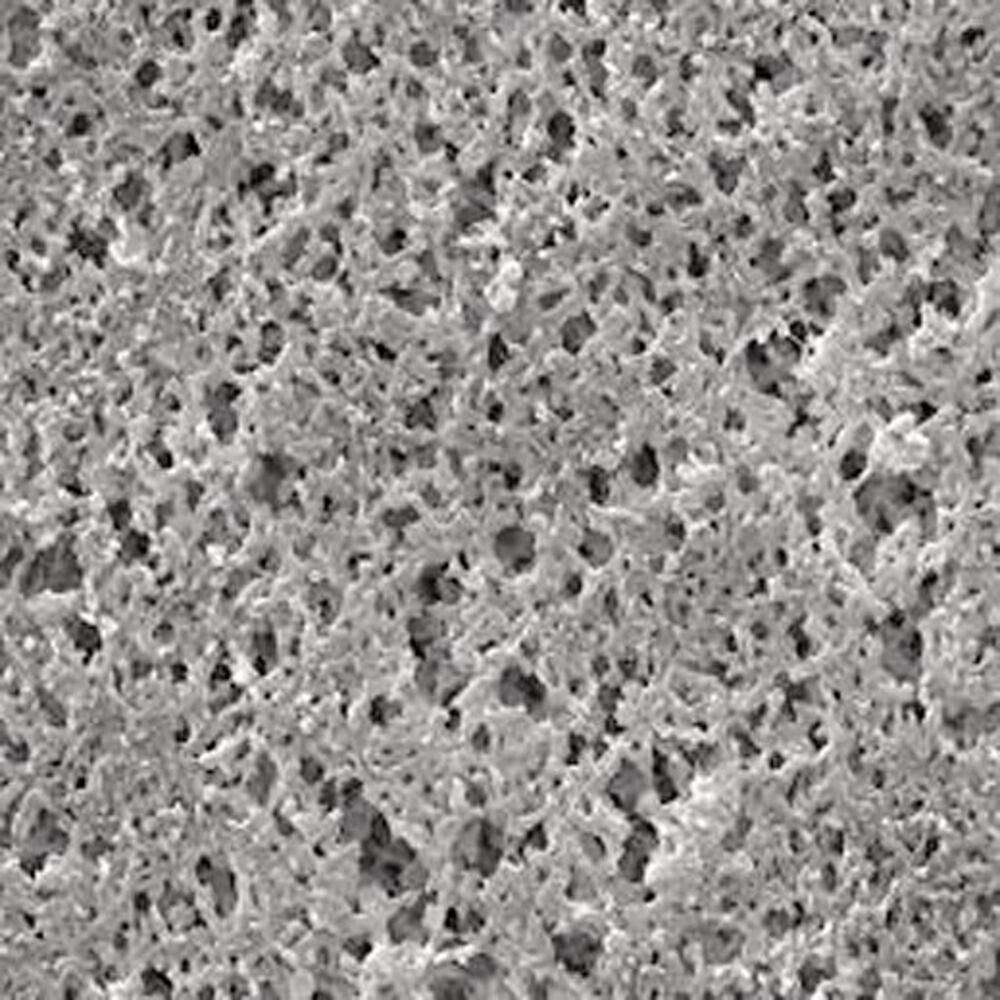 Nylon-Membranfilter, Porengröße 1,2 µm, Membran-Ø 25 mm, 100 Stück