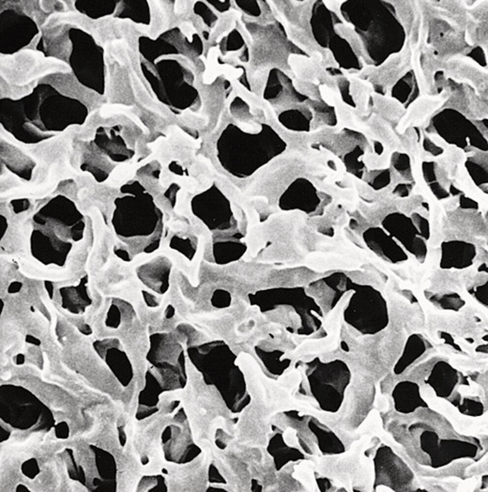 Filtri a membrana Durapore® PVDF idrofilo, 0,22 µm, , 13 mm, 100 Pezzo(i)