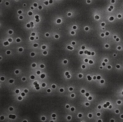 Polycarbonat-Membranfilter, weiß, Ø 25 mm, Porengröße 0,1 µm, 100 Stück