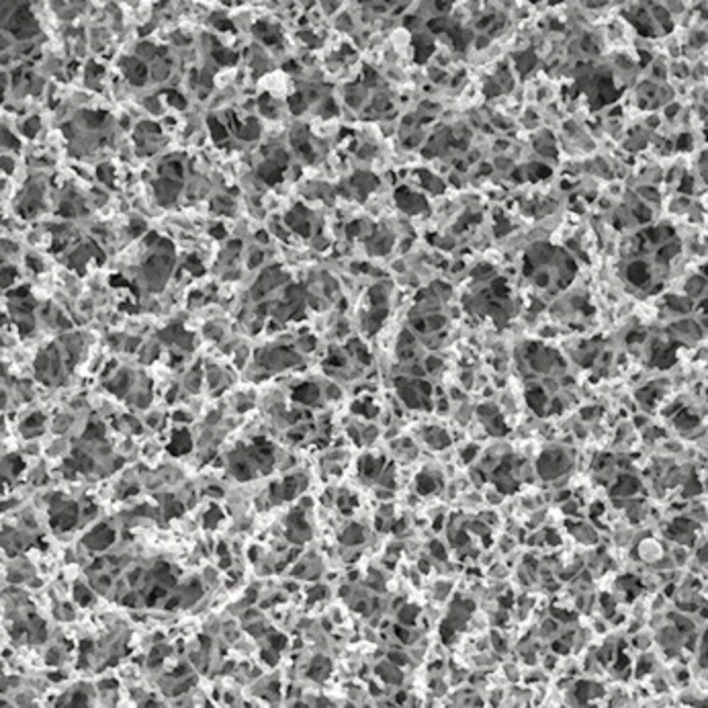 Membrane filters MF-Millipore Cellulose mixed ester 0.45 µm, 47 mm, without grid, 100 Piece(s)