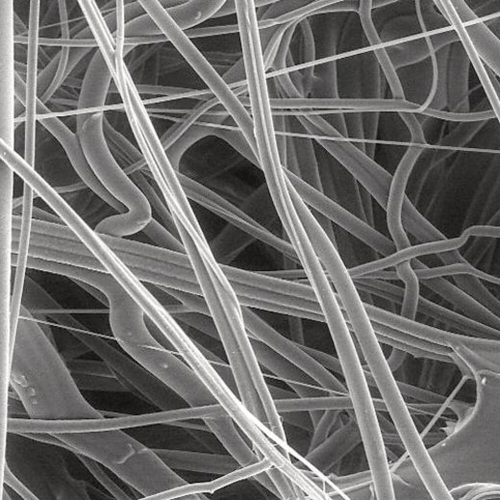 Prefilter PP, 5,0 µm, 100 Piece(s)