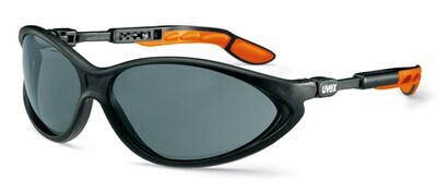 Safety glasses cybric, gray, 1 piece
