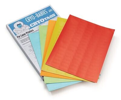 Etichette criogeniche ordinate per colore sul foglio, 38 x 19 mm, Gesch. per provette criogeniche da 2 ml, 20 pezzi