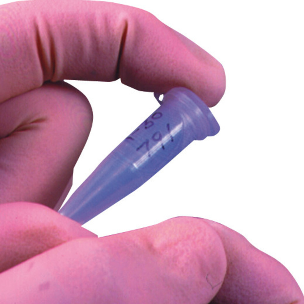 Label protection film Write-Protect, 40.65 x 16.0 mm, 1 Roll