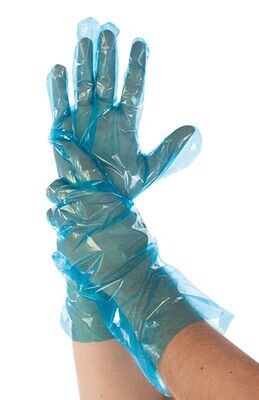 Disposable gloves PE Softline, 100 Pieces