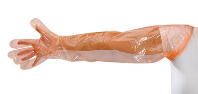 Einweghandschuhe PE Softline extralang, 50 Stück