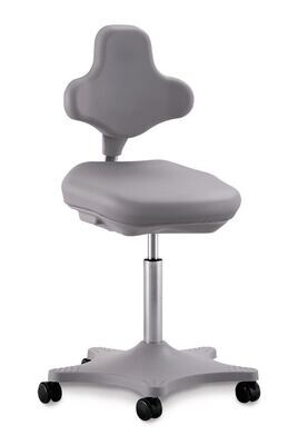 Chaise de laboratoire Labster 2, grise, roulettes, hauteur d&#39;assise 450-650 mm 1 pc