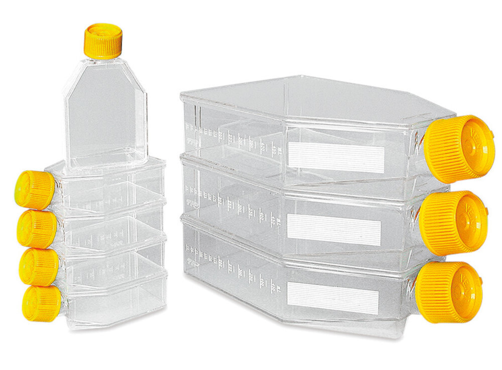 Cell culture flasks, 25 cm², 60 ml, 3-8 ml 360 pcs