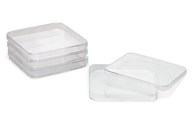 Boîtes de Pétri carrées, Stériles 240 pcs