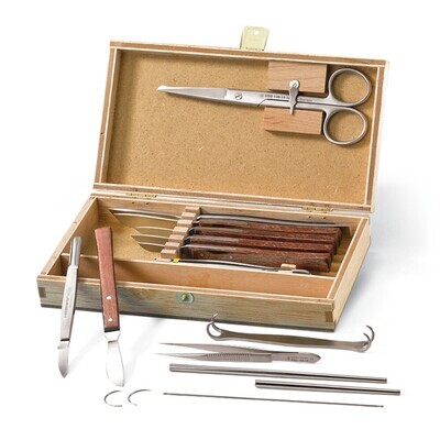 Set di preparazione anatomico Premium 1 pezzo