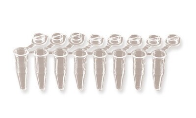 PCR strips 8 adherent individual lids, Flat lid 120 pcs