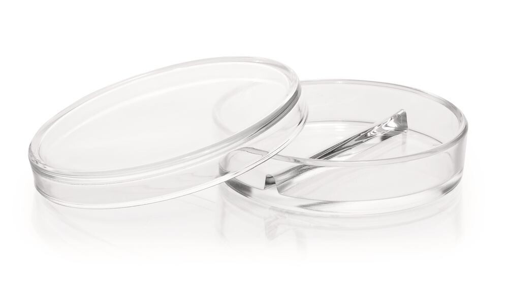Petri dishes divided into 2 compartments 10 pieces