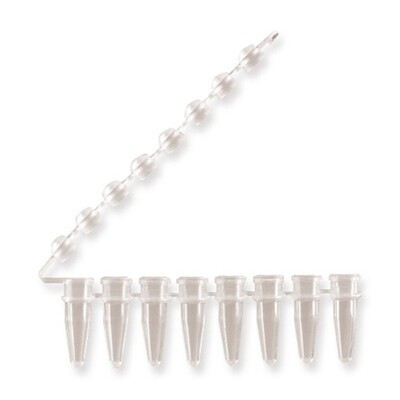 PCR strips 8 adherent lid strips 125 pcs