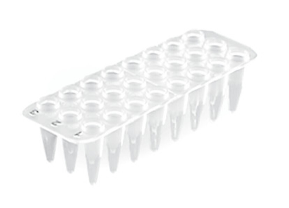 PCR plates 24-well 40 pcs