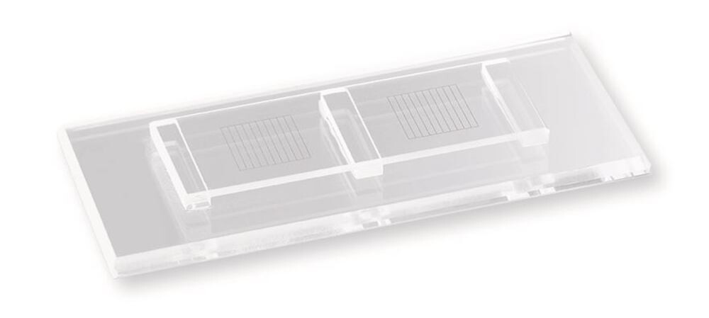 Counting chambers McMaster 1 pc