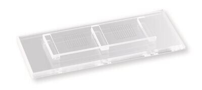 Counting chambers McMaster 1 pc
