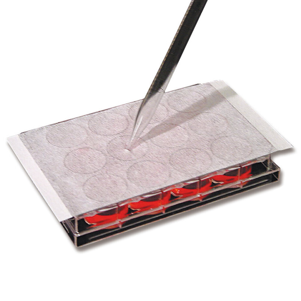 Sealing film for cell cultures, Non sterile 100 pcs
