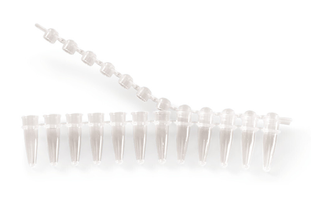 PCR strips 12 125 pcs