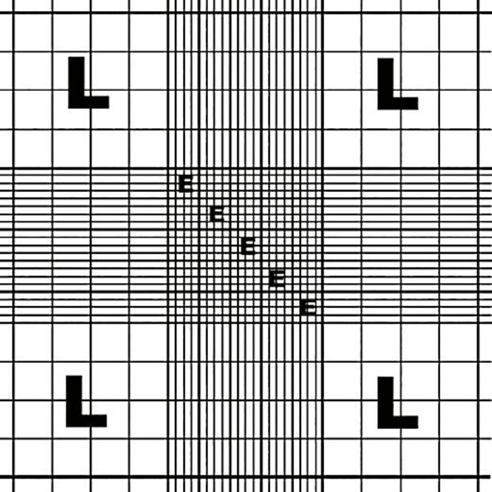 Counting chambers Neubauer improved Lines clear, 2 spring clips 1 piece