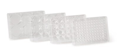 Cell culture plates sterile, Wells, 96 100 pcs