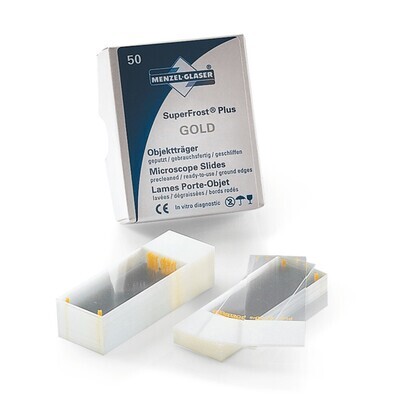 Lames d&#39;adhérence Superfrost® Plus Gold 72 pcs