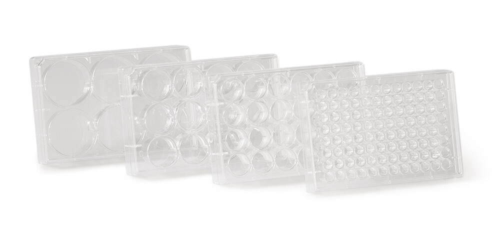 Cell culture plates sterile, Wells, 6 100 pcs