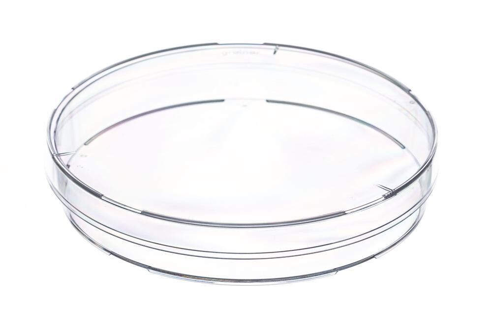 Petri dishes with aeration lugs, 90 x 16 mm, Non-sterile 480 pcs