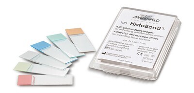 Lames de collage Histobond® Edges meulées à 90°, jaunes 100 pcs