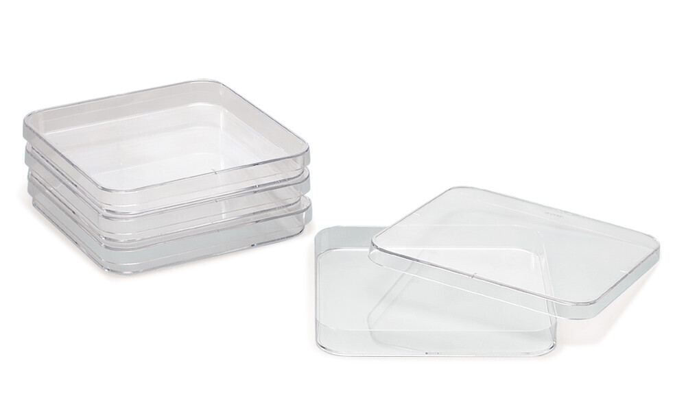 Petri dishes square, Non sterile 240 pcs