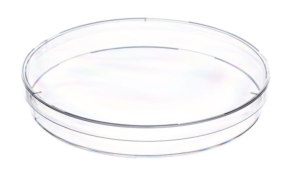 Petri dishes with ventilation lugs, 145 x 20 mm, Non-sterile 120 pieces
