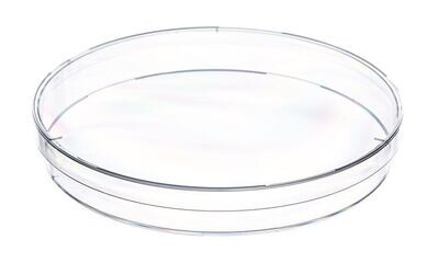 Petri dishes with ventilation lugs, 145 x 20 mm, Non-sterile 120 pieces