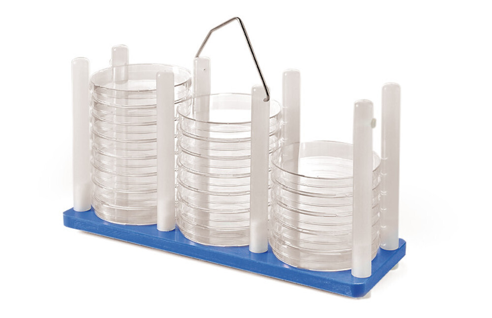 Petri dish holders ROTILABO®, red 1 piece