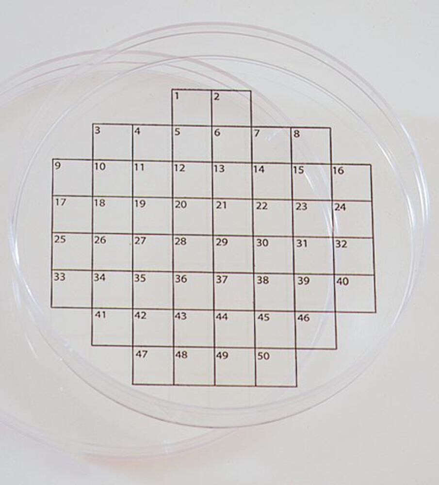 PetriSticker Rejilla cuadrada, 50 36 piezas