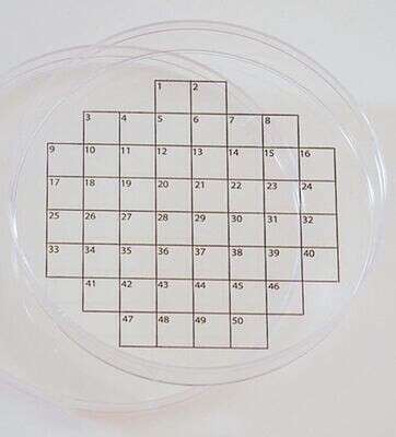 PetriSticker Grille carrée, 50 36 pièces