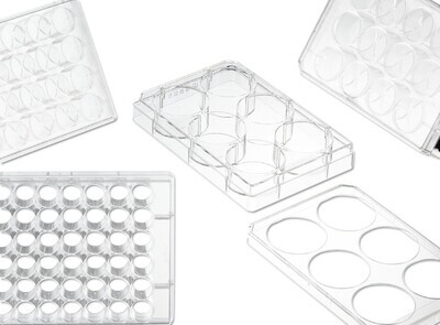 Piastre per colture cellulari CELLSTAR® sterili, pozzetti, 12 100 pz