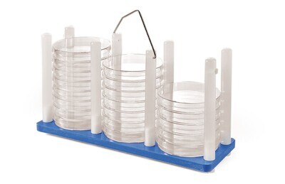 Supporti per piastre Petri ROTILABO®, blu 1 pezzo