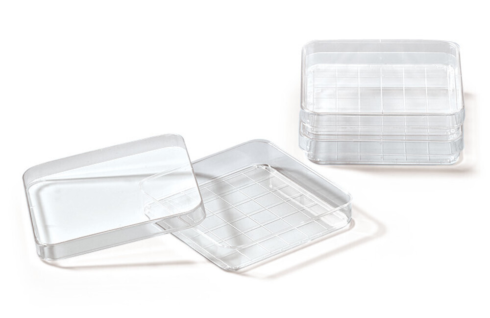 Petri dishes square with grid 500 pcs