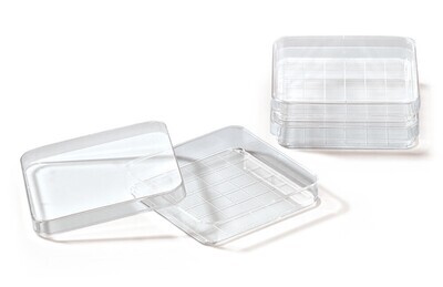 Petri dishes square with grid 500 pcs