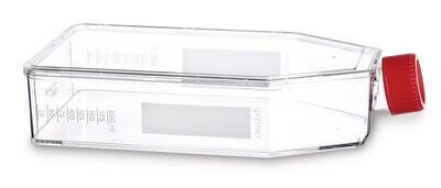 Flaconi per coltura cellulare filtro raccordo a vite, 175 cm², 650 ml, 20-85 ml 40 pezzi