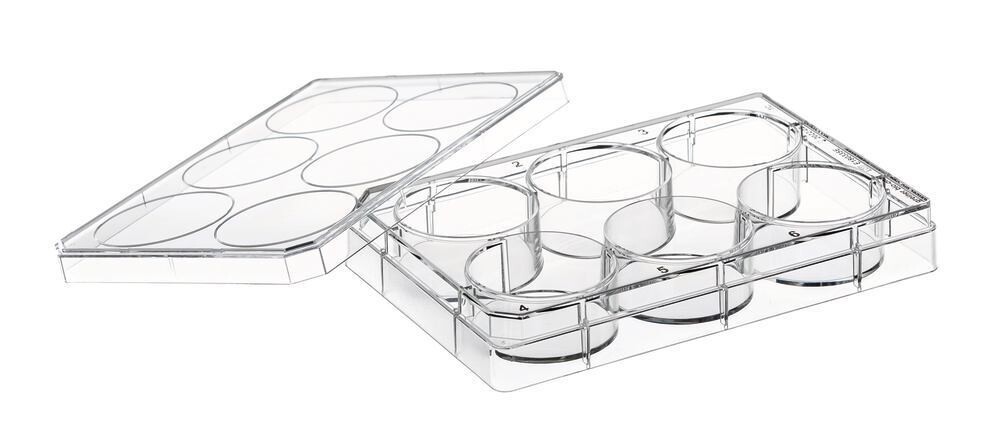 Cell culture plates CELLSTAR® sterile, Wells, 6 100 pcs