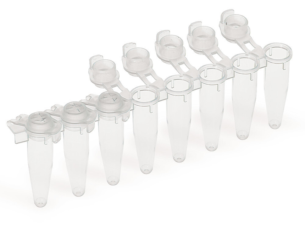PCR strips 8 Lid domed, blue 125 pcs