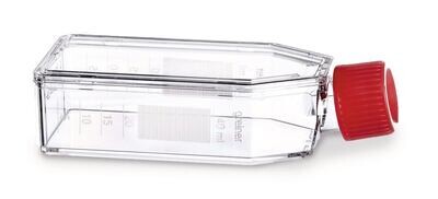 Frascos de cultivo celular filtro acoplamiento roscado, 25 cm², 50 ml, 5-10 ml 200 piezas