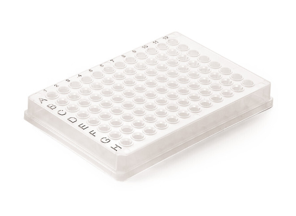 PCR plates ROTILABO® 96-well, Low Profile, complete holder 50 pcs