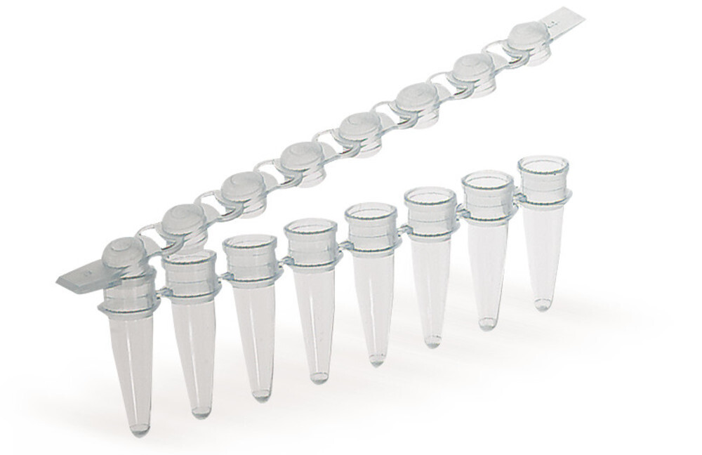 Bandelettes PCR 8, incolores 125 pcs