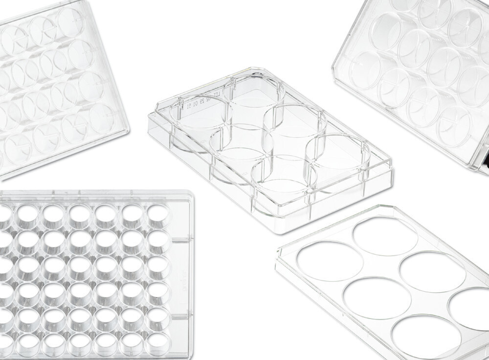 Cell culture plates CELLSTAR® sterile, Wells, 24 100 pcs