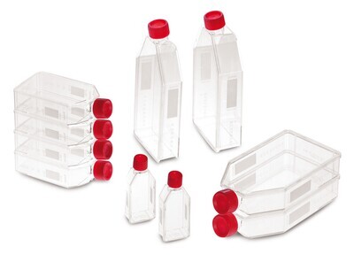 Cell culture flasks, 175 cm², 550 ml, 20-45 ml 50 pieces